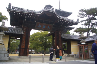 IMGP9657.JPG