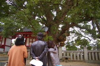 IMGP9666.JPG