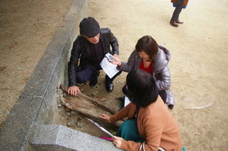 IMGP9672.JPG