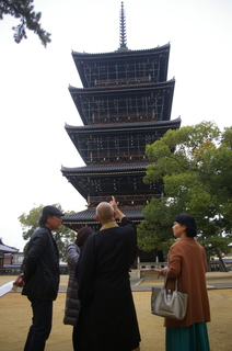 IMGP9679.JPG