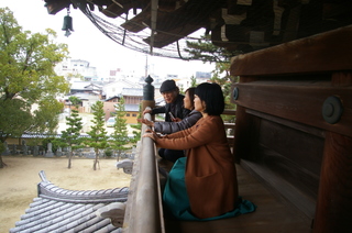 IMGP9729.JPG