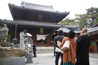 IMGP9742.JPG