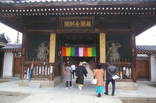 IMGP9760.JPG