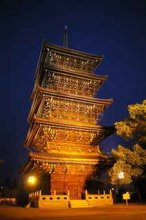 IMGP9795.JPG