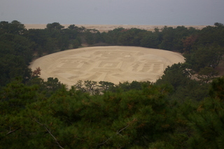 IMGP9936.JPG