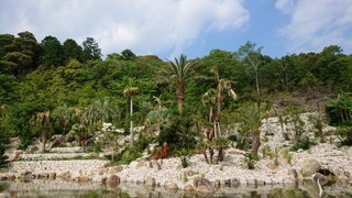 DSC_1182.JPG