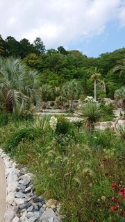 DSC_1183.JPG