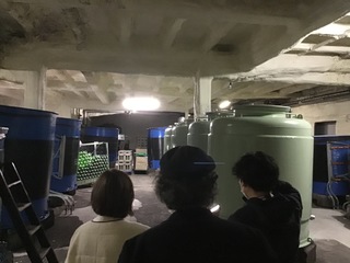 IMG_1676.JPG
